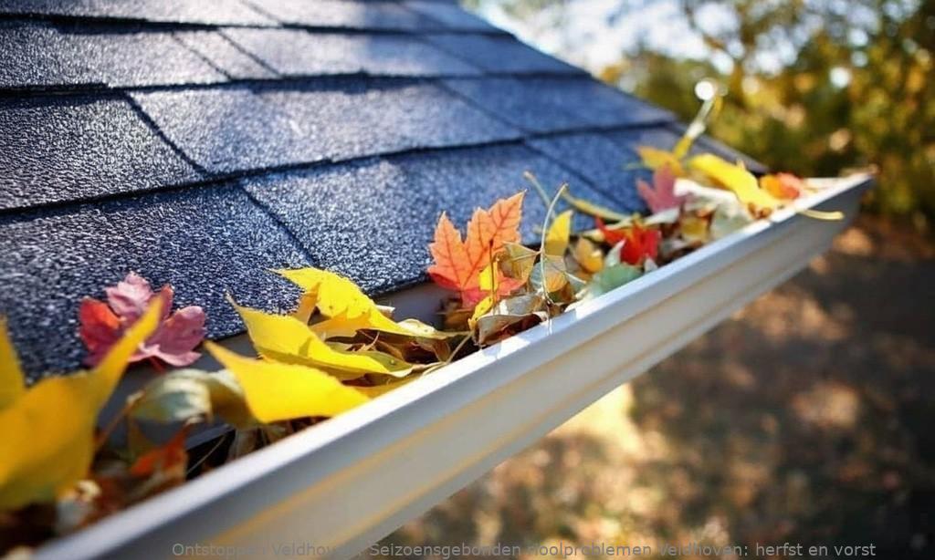 Seizoensgebonden rioolproblemen Veldhoven: herfst en vorst